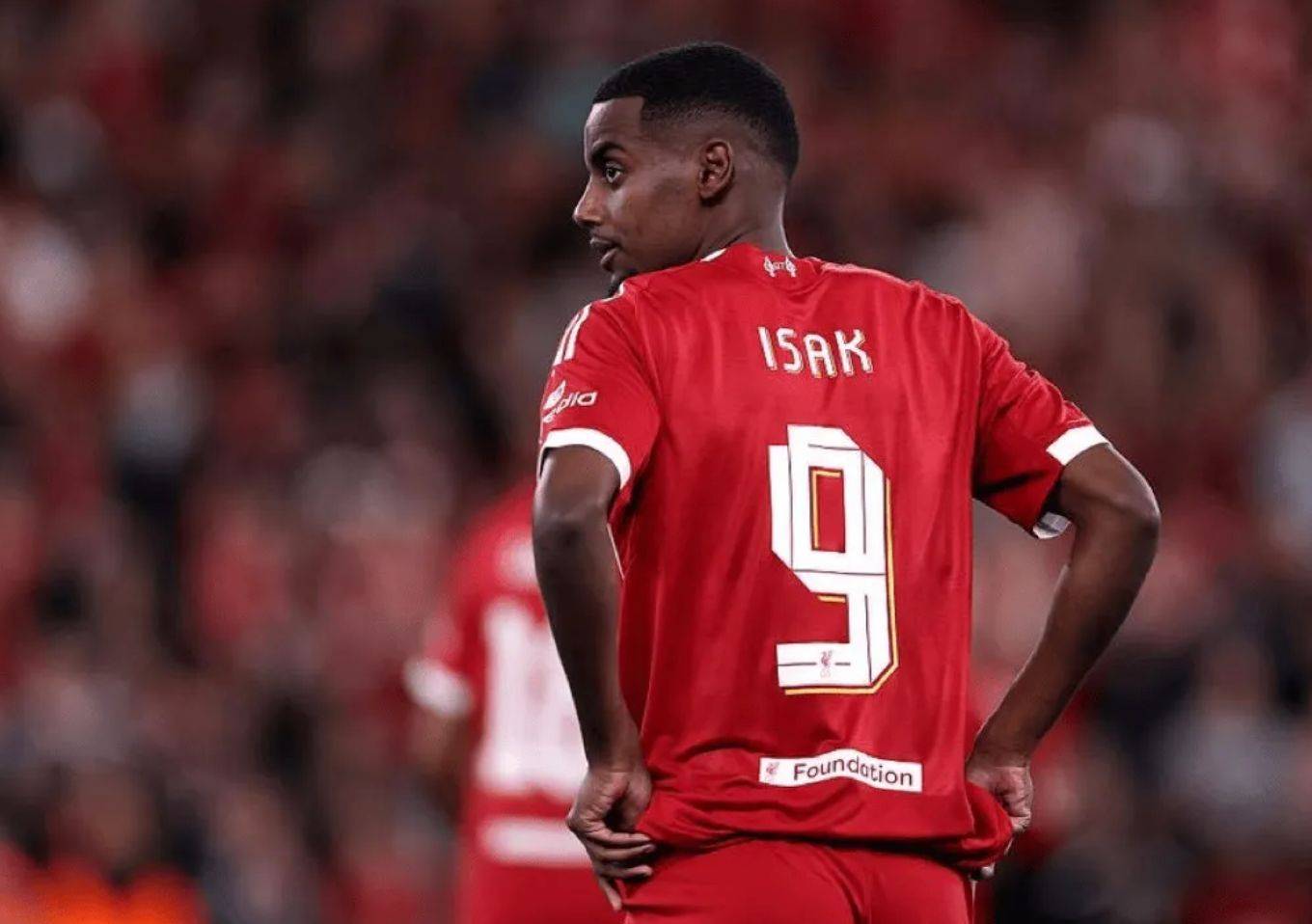 包含转会期罗马调整名单以备欧篮联，单刀错失环节打磨，管理层满意，年轻球员得到机会的词条九游免费账号共享